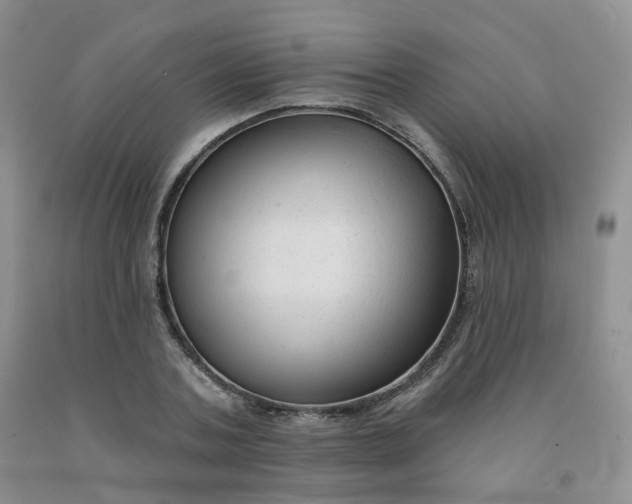 X0000092010787200709201529