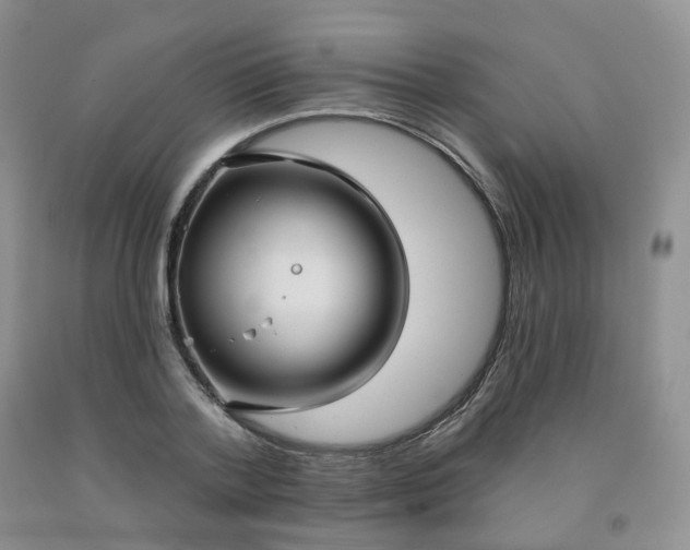 X0000092010788200709201529
