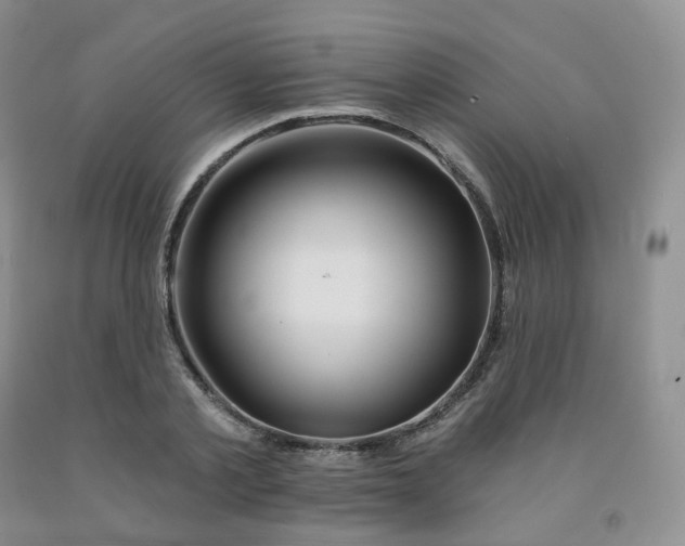 X0000092010789200709201529