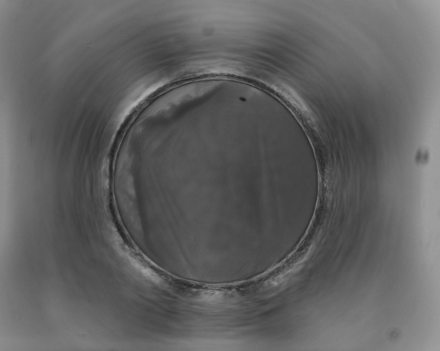 X0000092010790200709201529