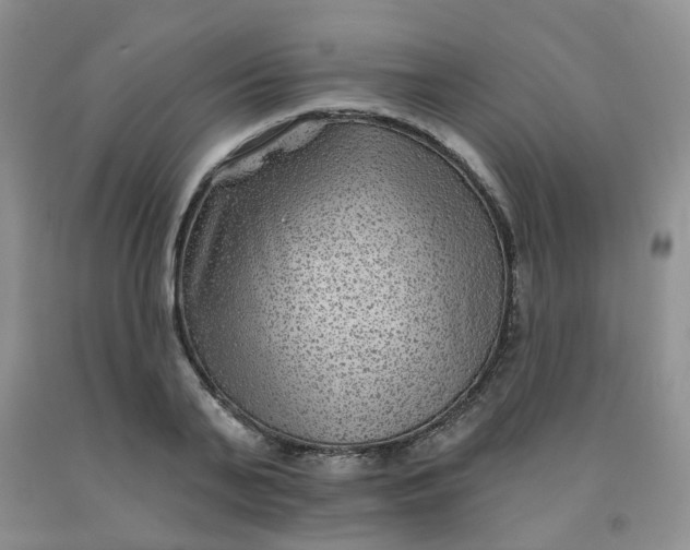 X0000092010791200709201529