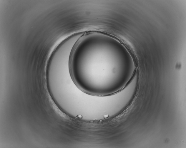 X0000092010792200709201529