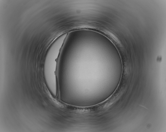 X0000092010793200709201529