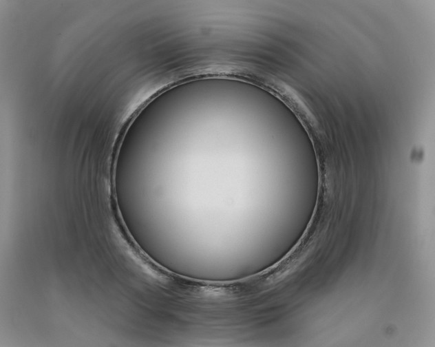 X0000092010794200709201529