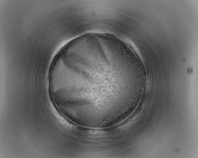 X0000092010795200709201529