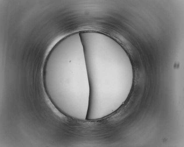 X0000092010796200709201529