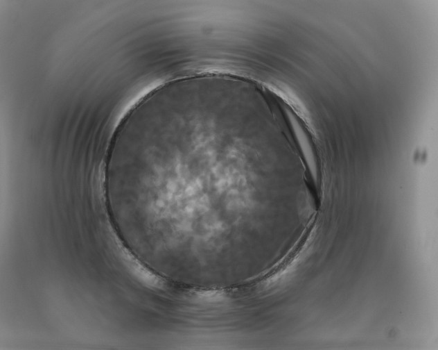 X0000092010798200709201529