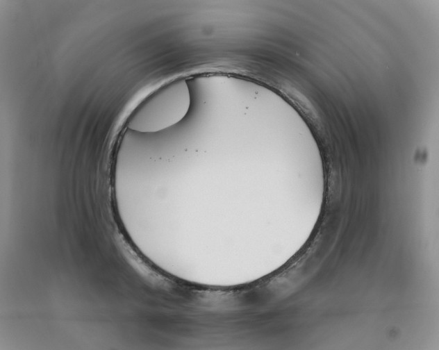 X0000092010800200709201529