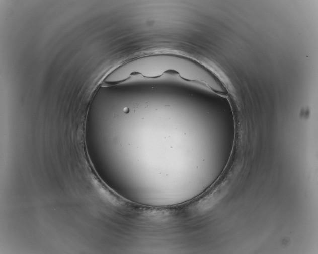 X0000092010801200709201529
