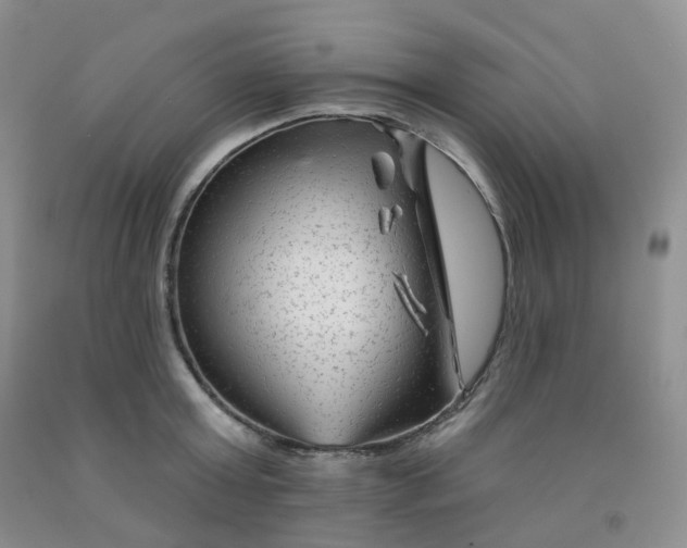 X0000092010803200709201529
