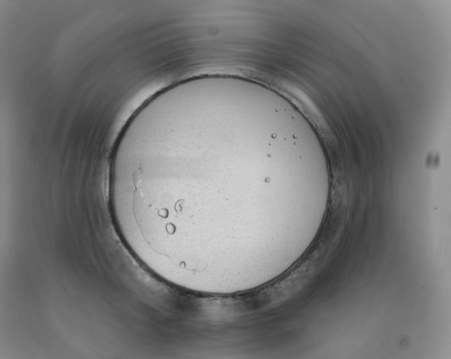 X0000092010804200709201529