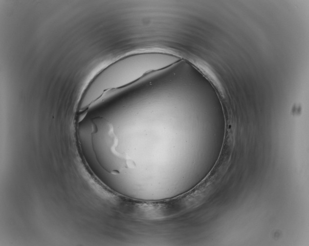 X0000092010805200709201529