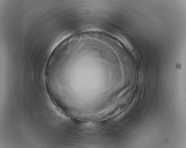 X0000092010806200709201529