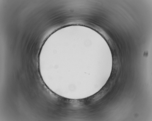X0000092010807200709201529