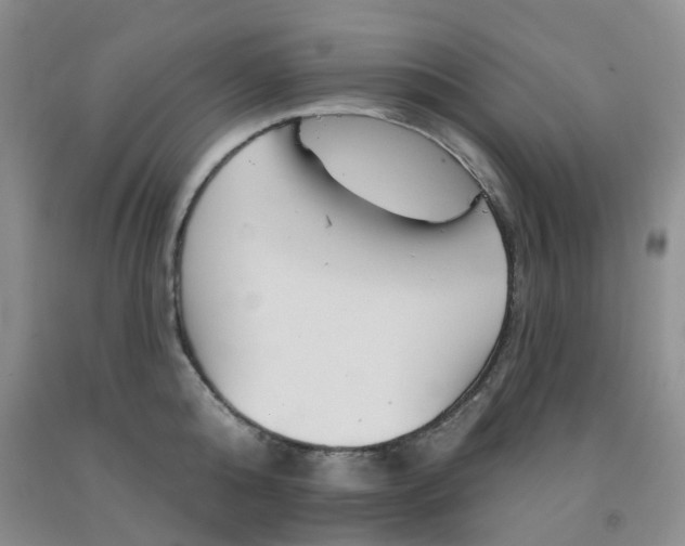 X0000092010808200709201529
