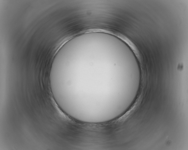 X0000092010809200709201529