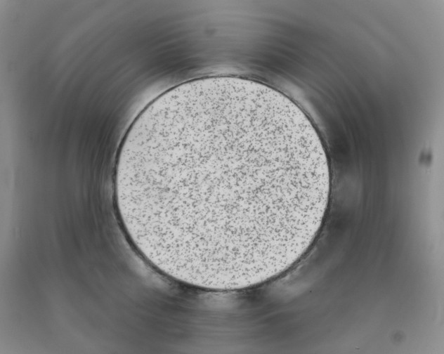 X0000092010810200709201529
