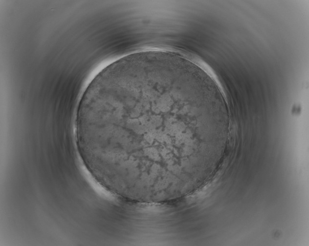 X0000092010811200709201529