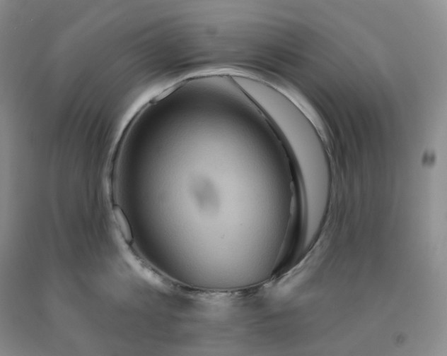 X0000092010813200709201529