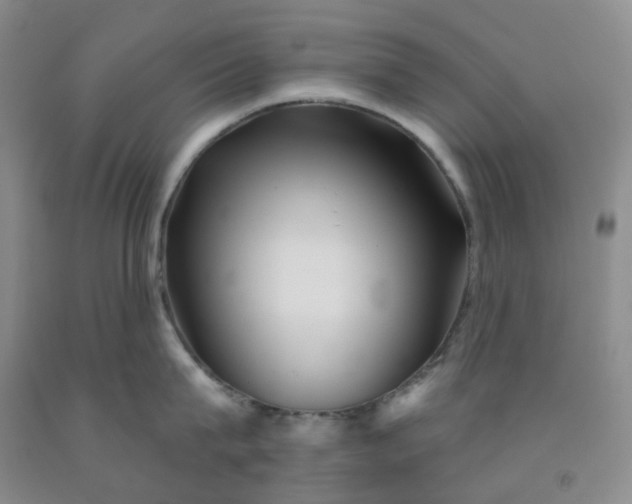 X0000092010815200709201529