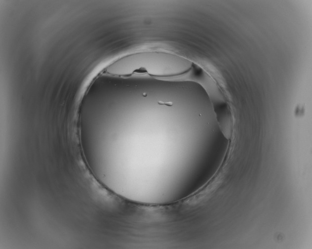 X0000092010816200709201529