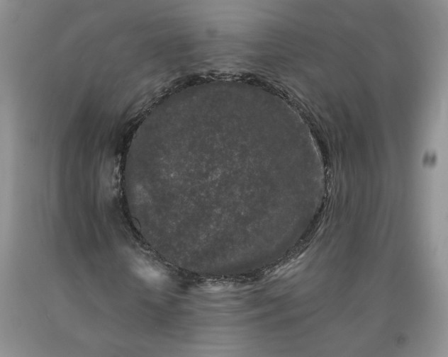 X0000092010818200709201528