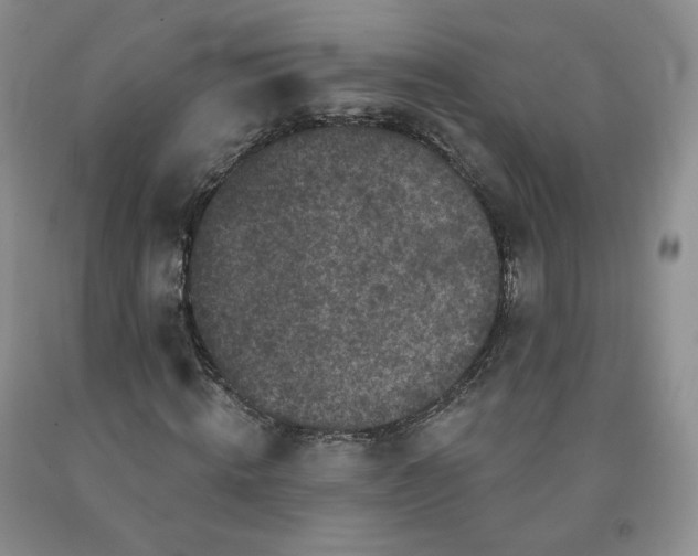 X0000092010820200709201528