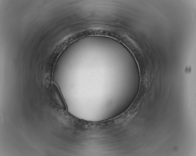 X0000092010821200709201528