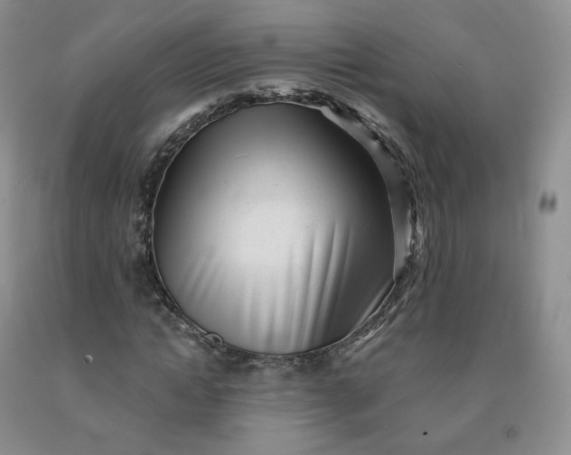 X0000092010822200709201528
