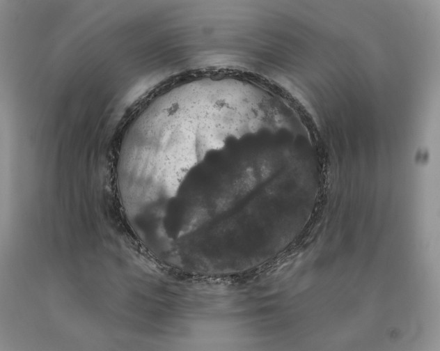 X0000092010823200709201528