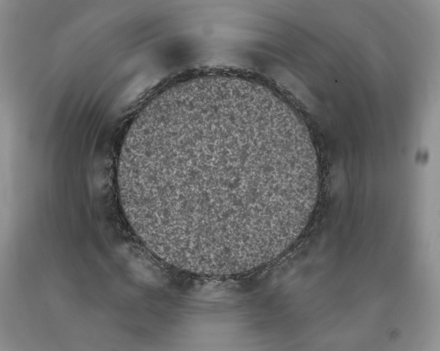 X0000092010824200709201528