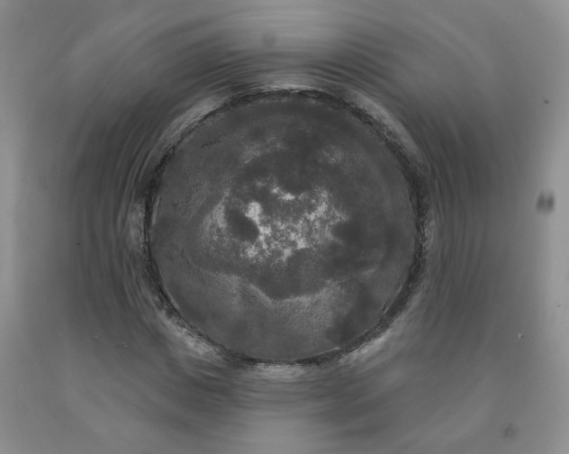 X0000092010825200709201528