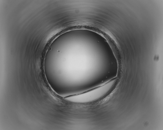 X0000092010826200709201528