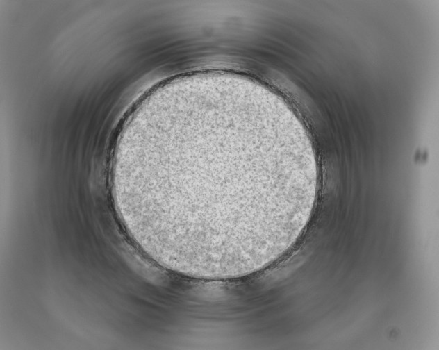X0000092010828200709201528
