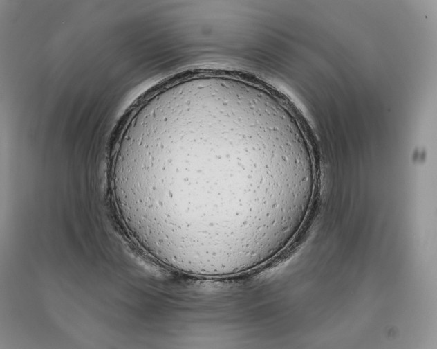 X0000092010829200709201528