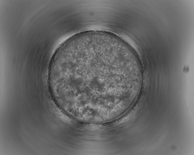 X0000092010831200709201528