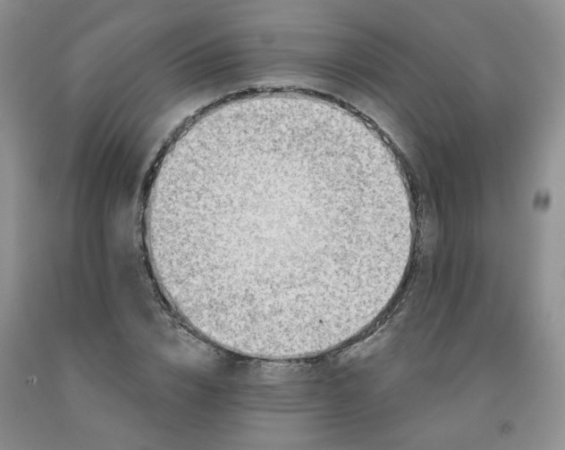 X0000092010832200709201528