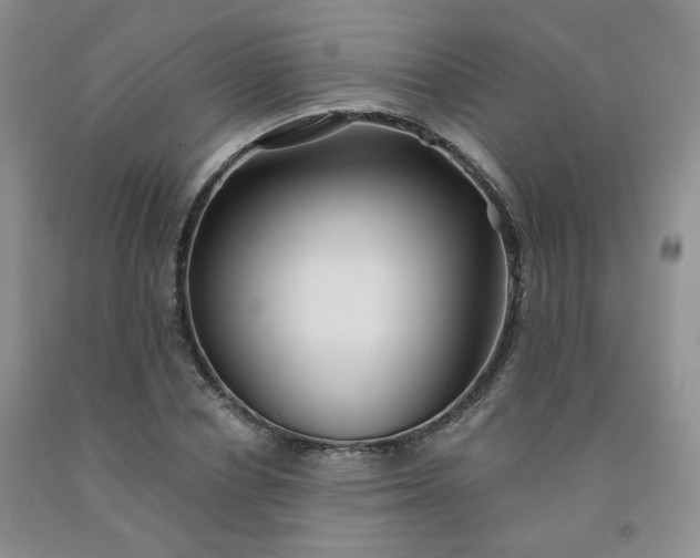 X0000092010834200709201528