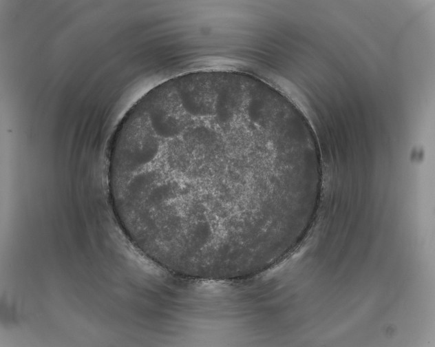 X0000092010835200709201528