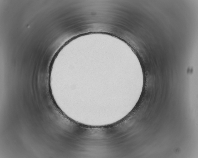 X0000092010836200709201528