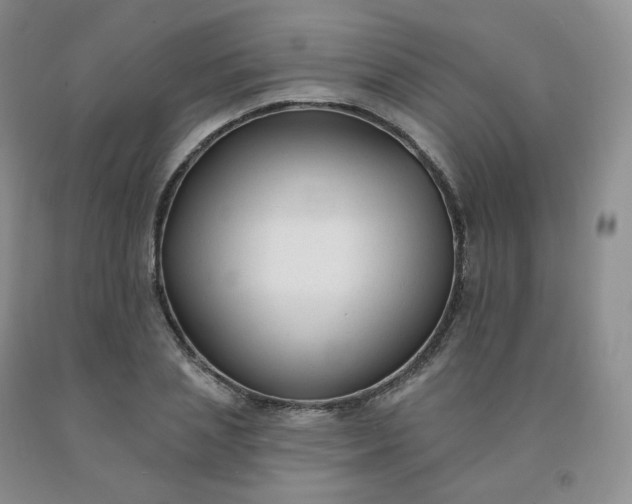 X0000092010837200709201528