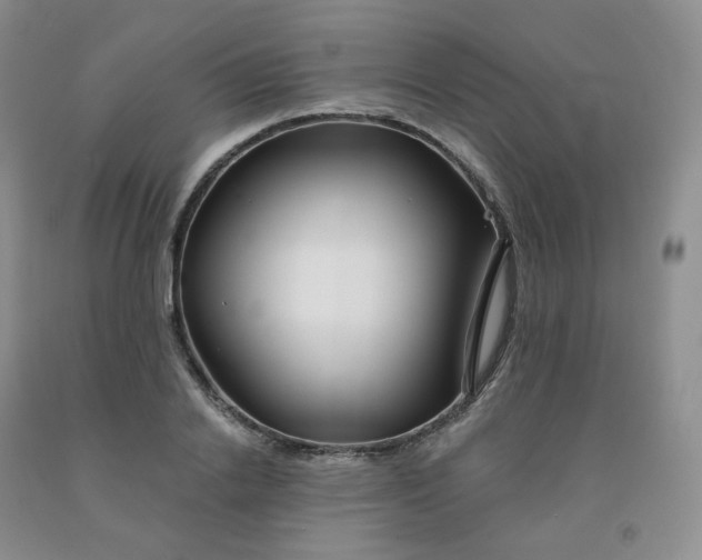 X0000092010838200709201528