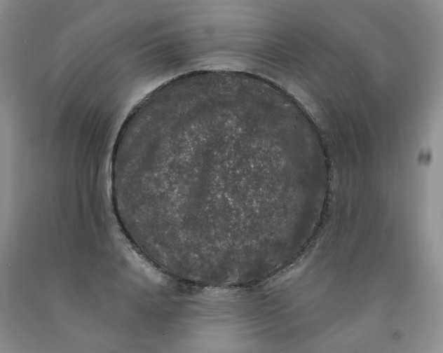 X0000092010840200709201529