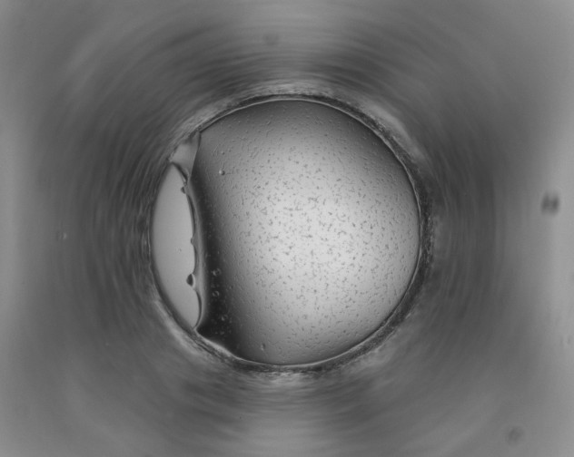 X0000092010841200709201529