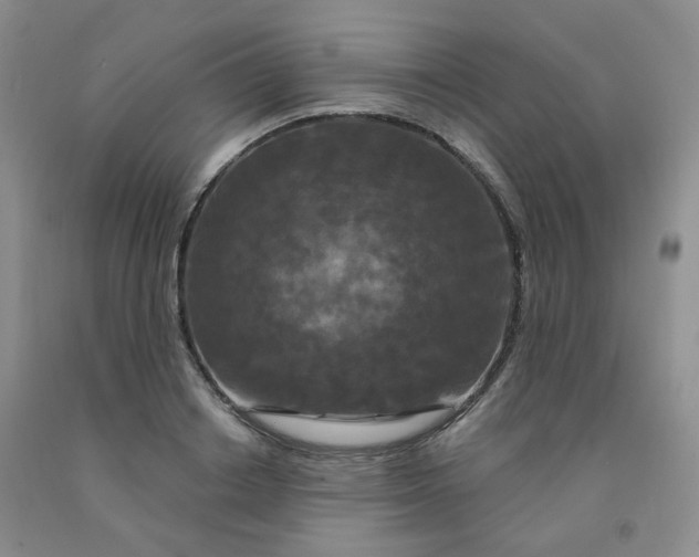 X0000092010842200709201529