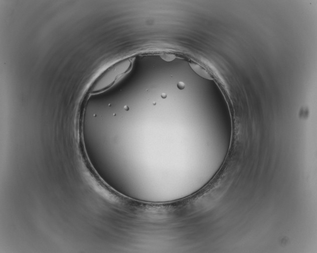 X0000092010843200709201529