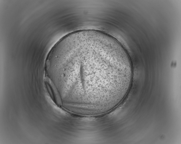 X0000092010844200709201529