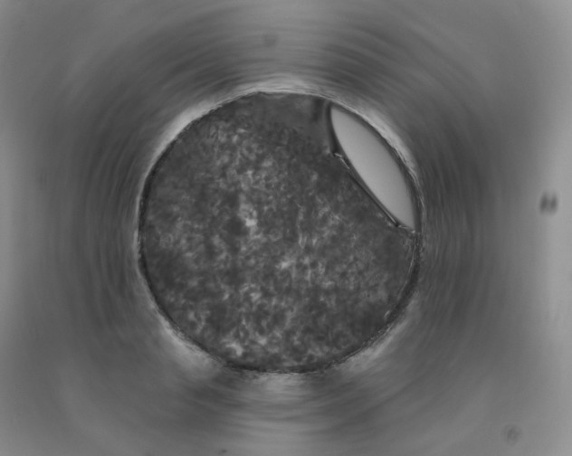 X0000092010845200709201529