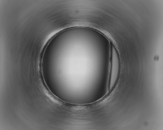 X0000092010846200709201529