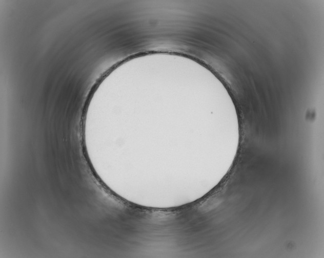 X0000092010848200709201529